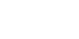netsoes